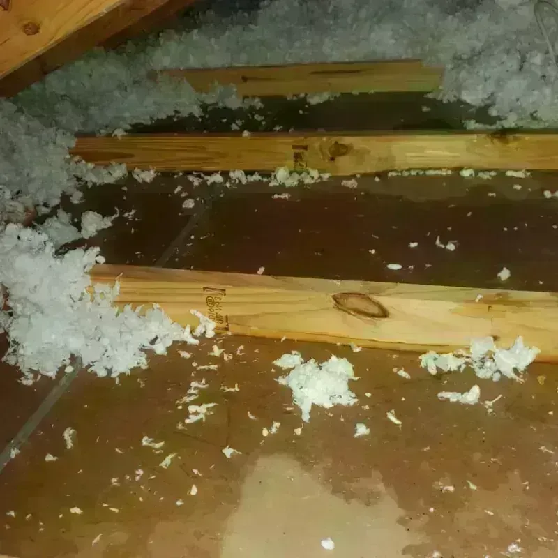 Attic Water Damage in Highland Park, MI